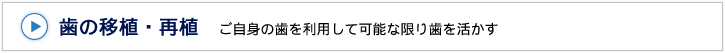 歯の移植・再植